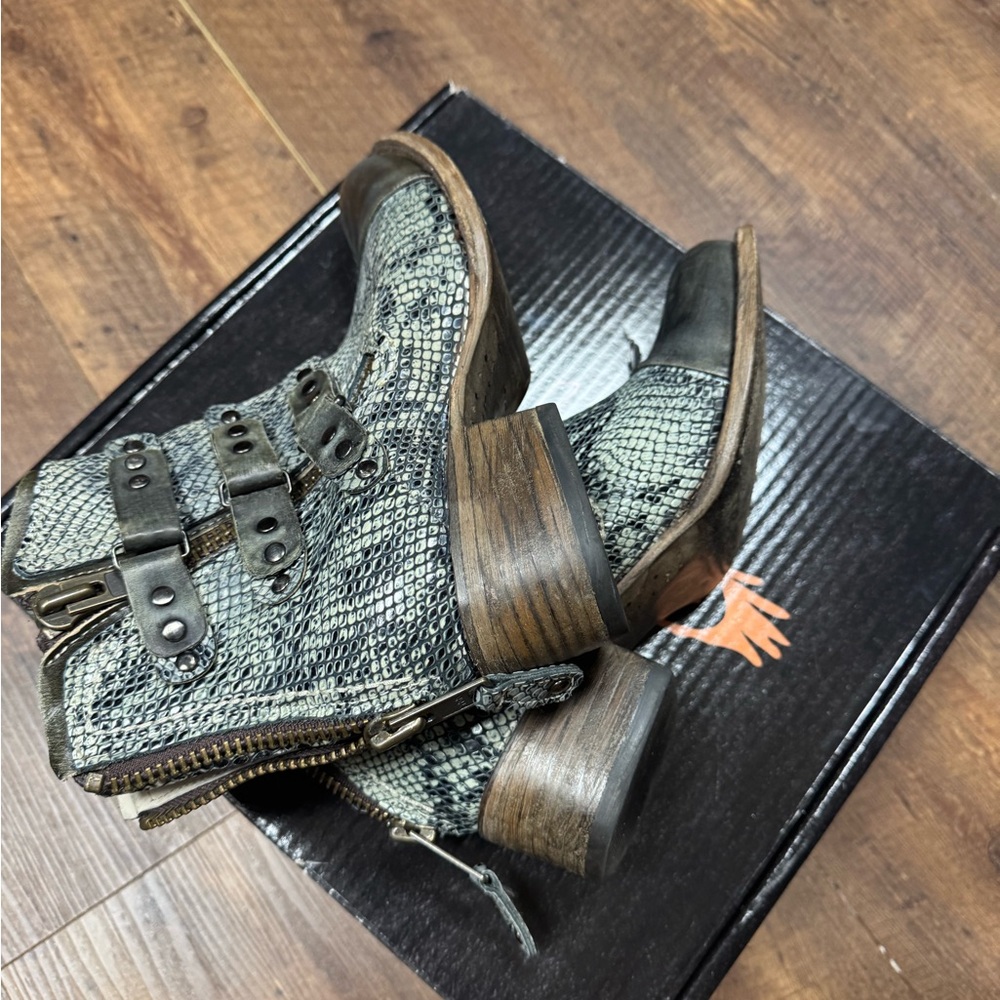 Freebird olive grecko 8
